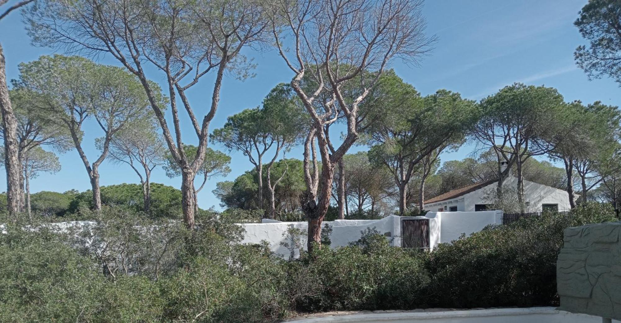 Casa Palmito 2 Villa Chiclana de la Frontera Eksteriør bilde