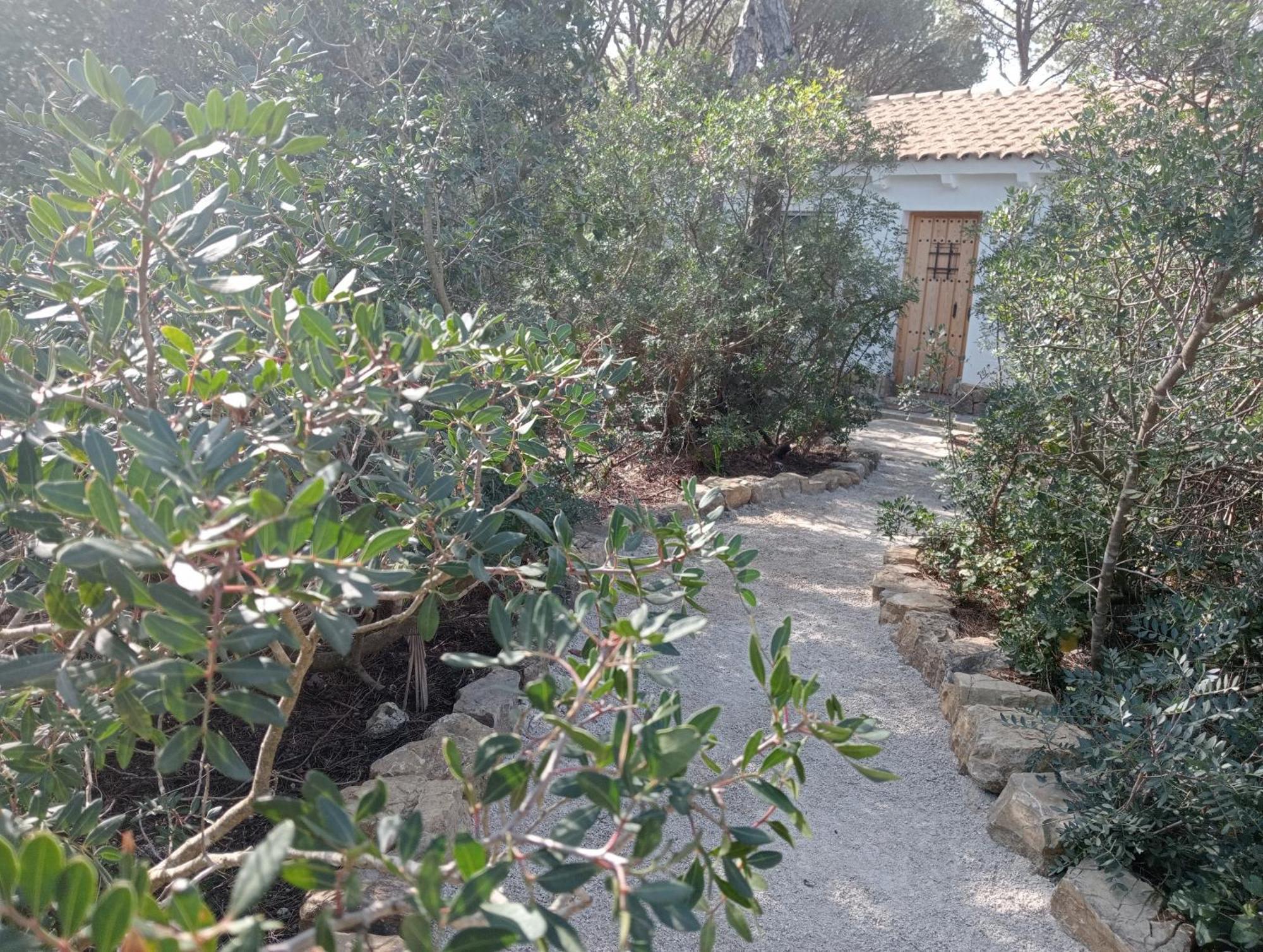 Casa Palmito 2 Villa Chiclana de la Frontera Eksteriør bilde
